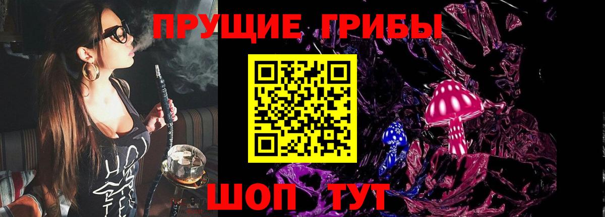 Галлюциногенные грибы мицелий  Вход с VPN  Галлюциногенные грибы мицелий  Междуреченск 